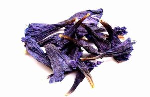 گل گاوزبان 35 گ